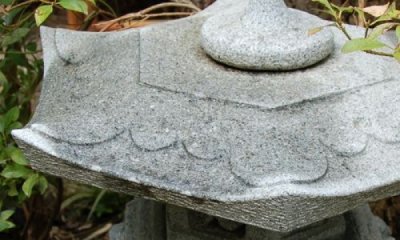 Bild 2 Bild 2