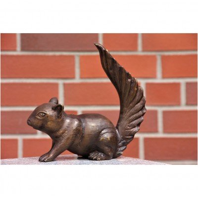 Bronze Eichhörnchen