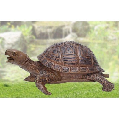 Schildkröte