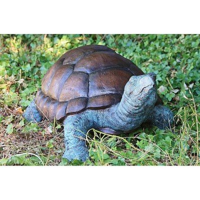 Schildkröte riesig